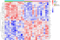 Fig 8