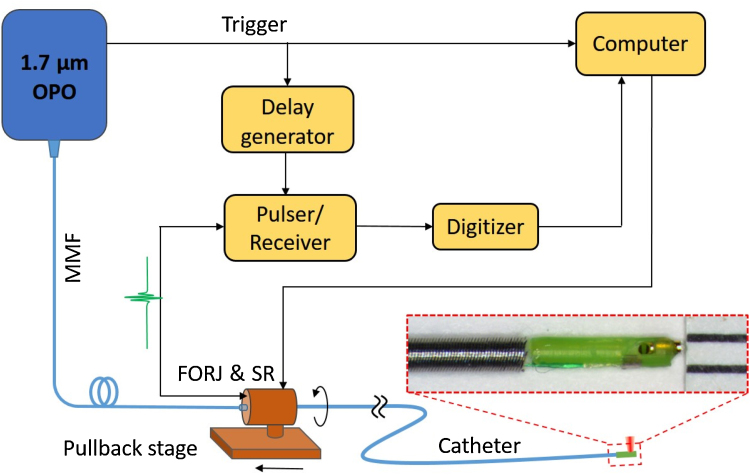 Fig. 1