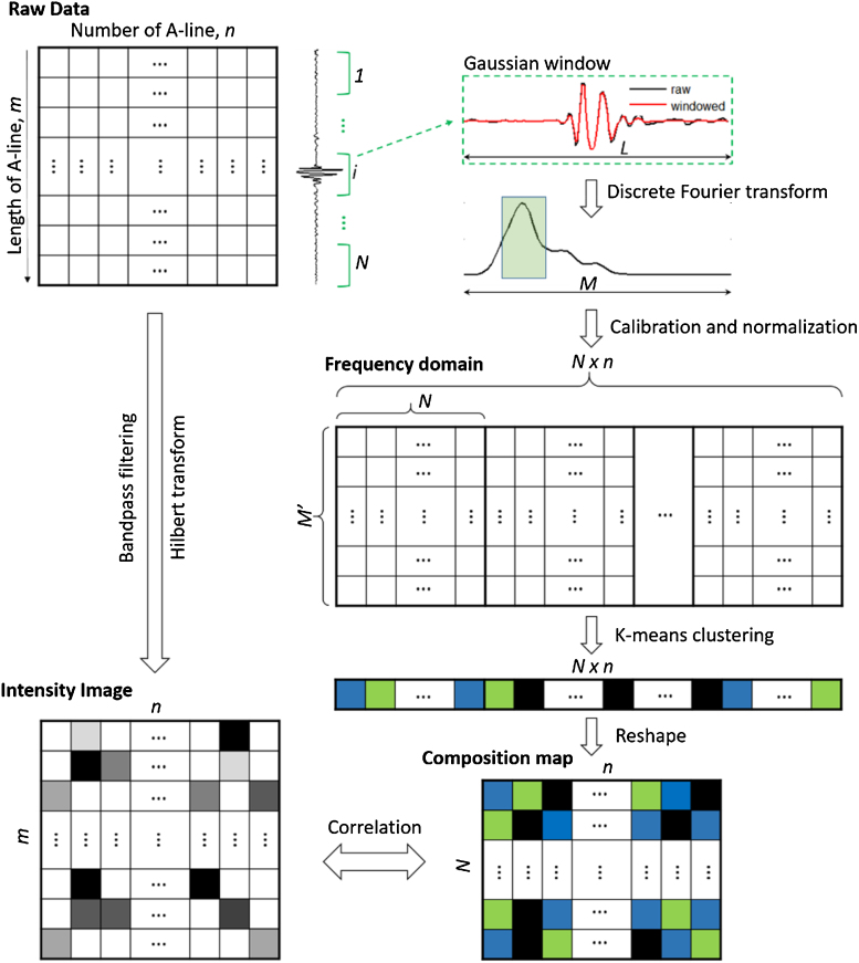 Fig. 2