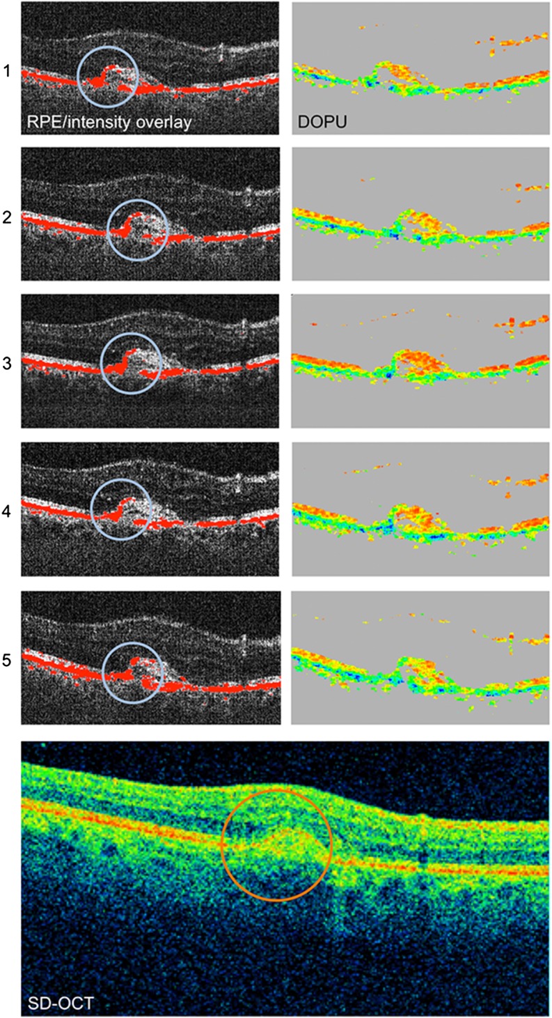 Figure 4