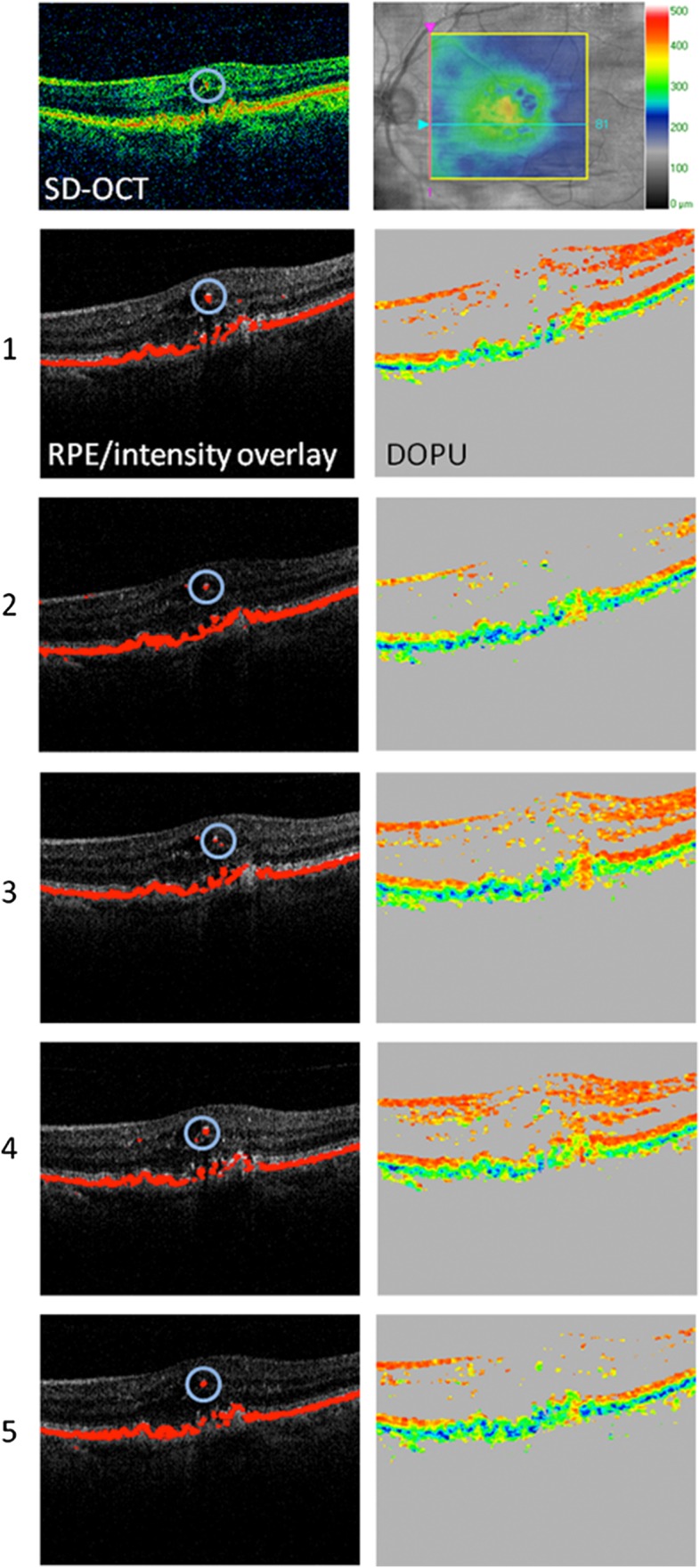 Figure 3