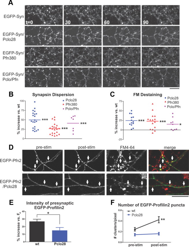 Figure 10.