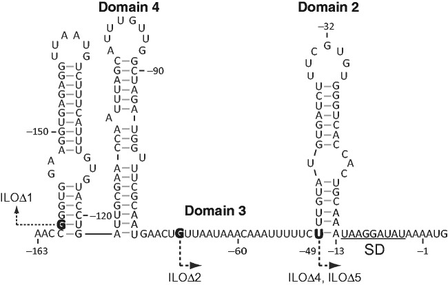 Figure 7.