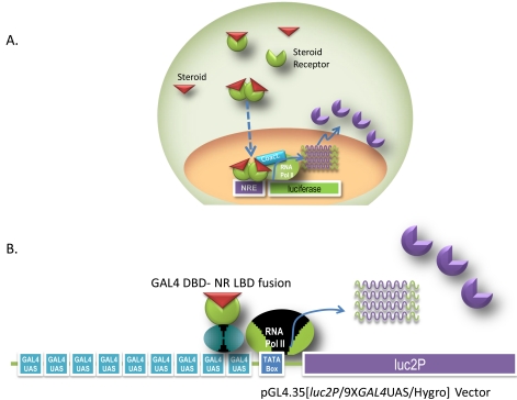 Fig. (1)