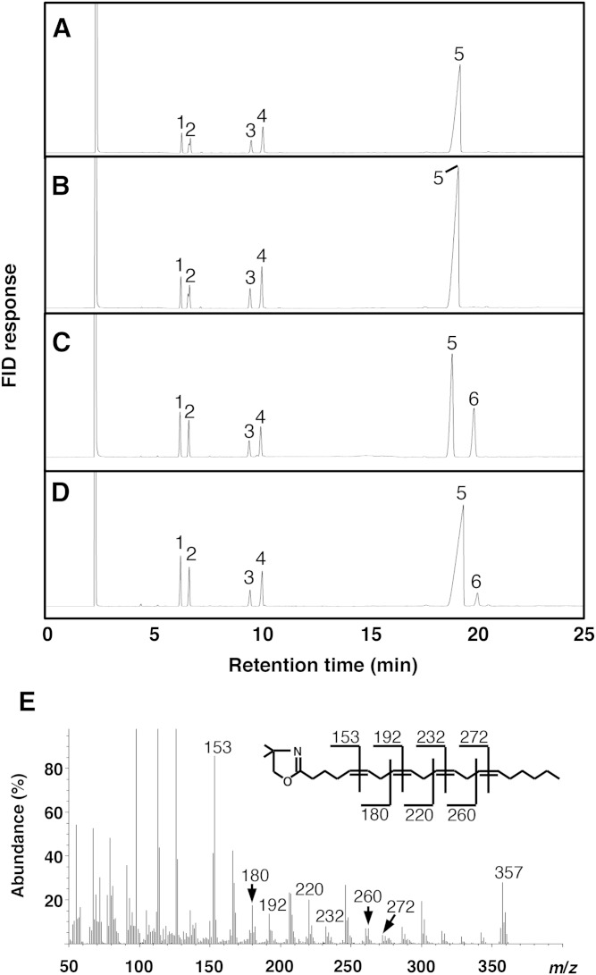 Fig. 3.