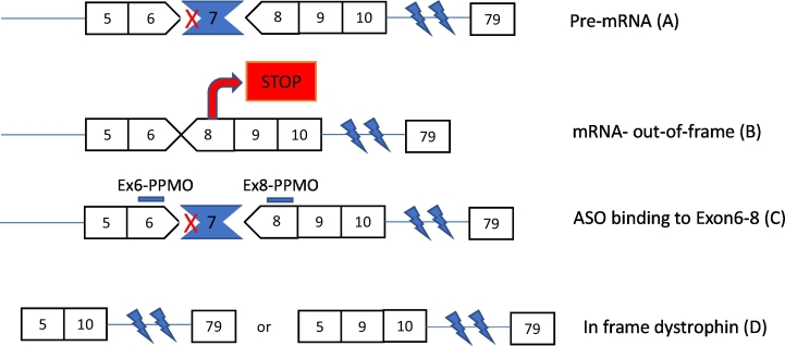 Fig. 3