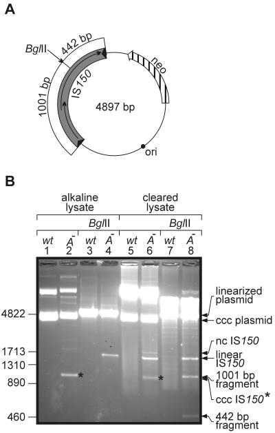 FIG. 2.