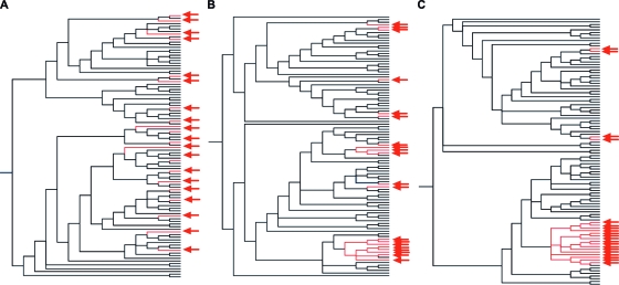 FIG. 6.