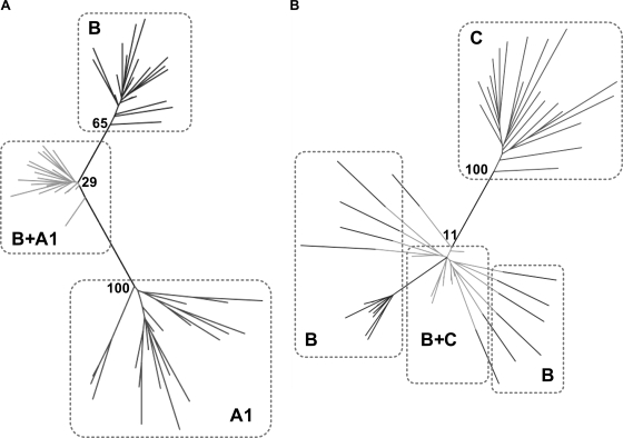 FIG. 4.