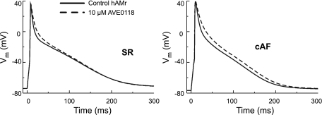 Fig. 10.