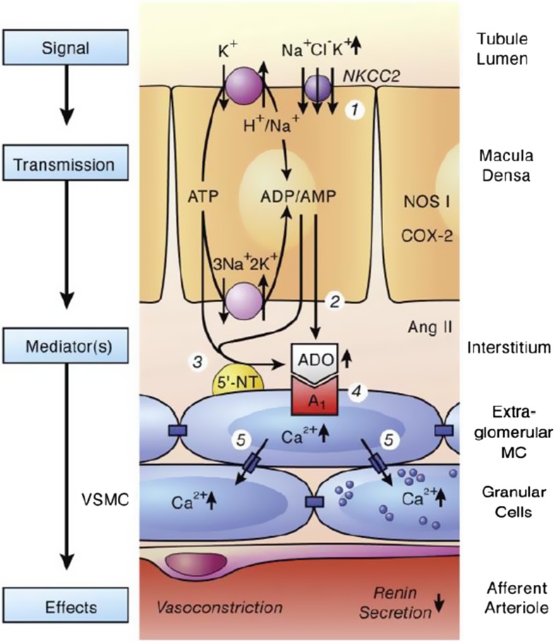 Fig. 2