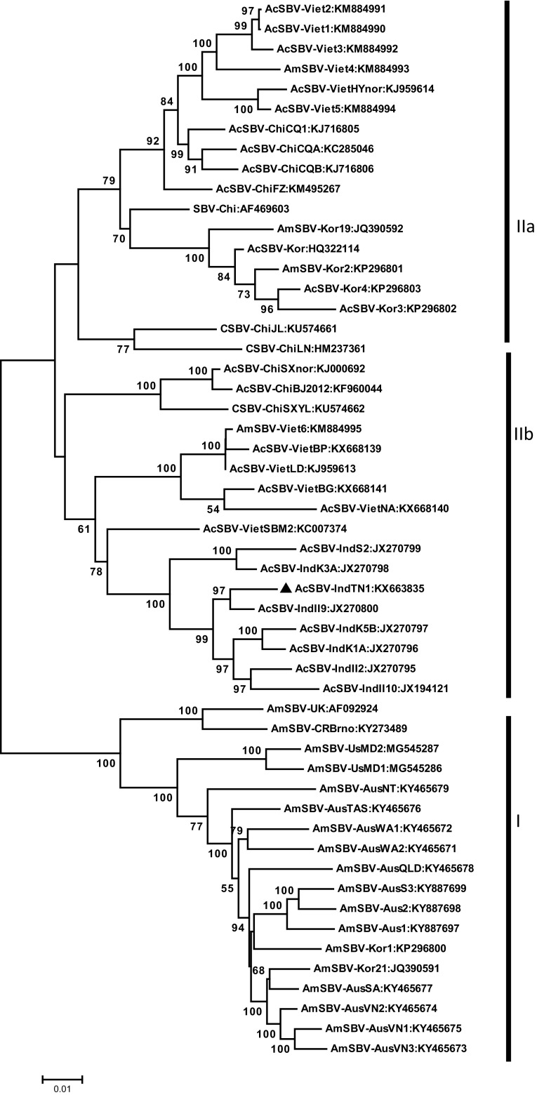 Fig. 1