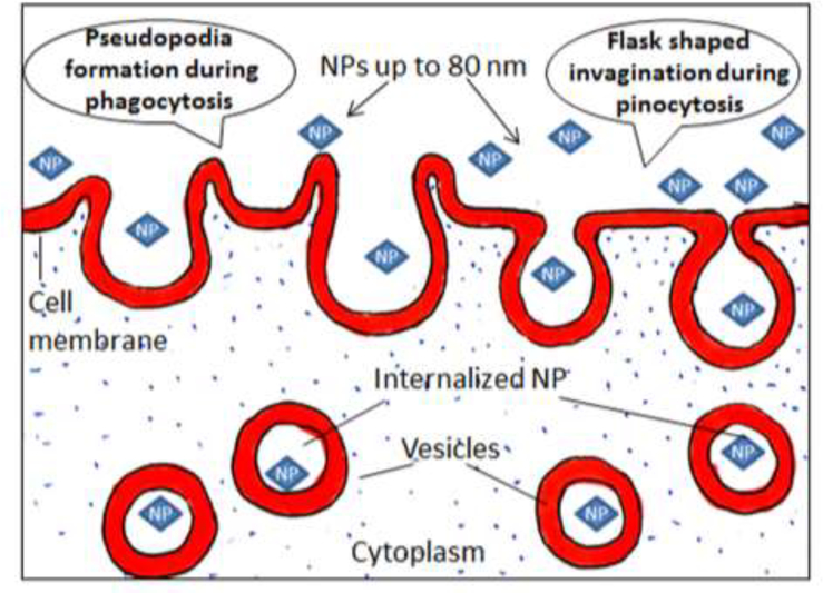 Figure 5.