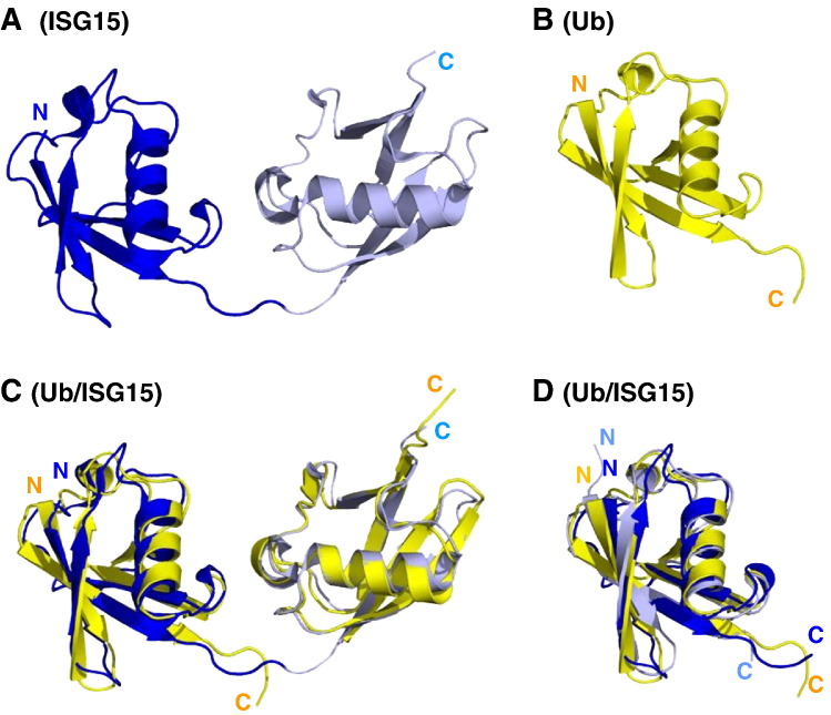 Fig. 3