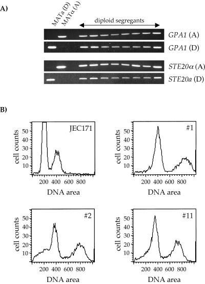 FIG. 7