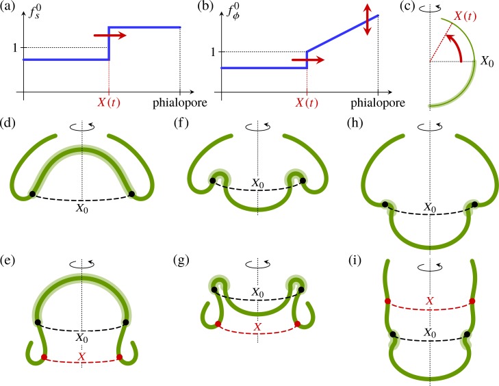 Fig 12