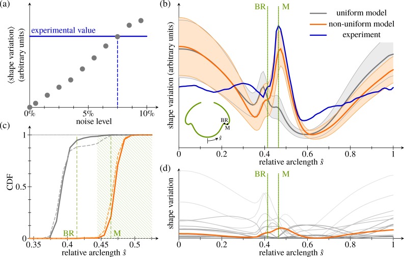 Fig 11