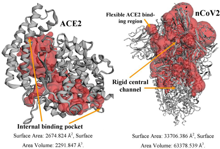 FIGURE 3