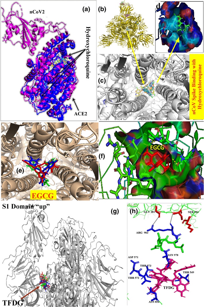 FIGURE 4