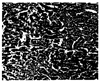 FIG. 14