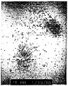 FIG. 24