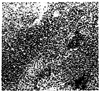 FIG. 29
