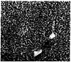 FIG. 13