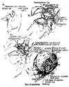 FIG. 20