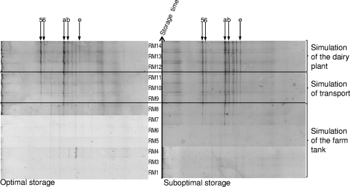 FIG. 5.