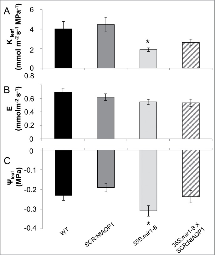 Figure 2.