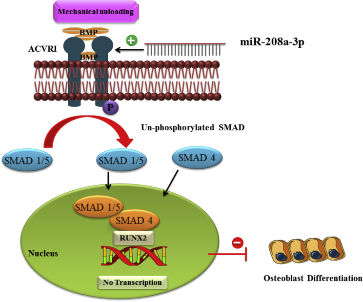 Figure 6