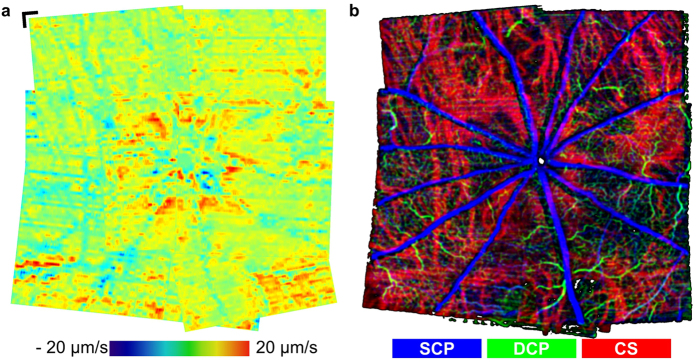 Figure 6