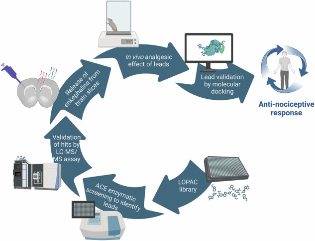 graphic file with name 42003_2025_8790_Figa_HTML.jpg