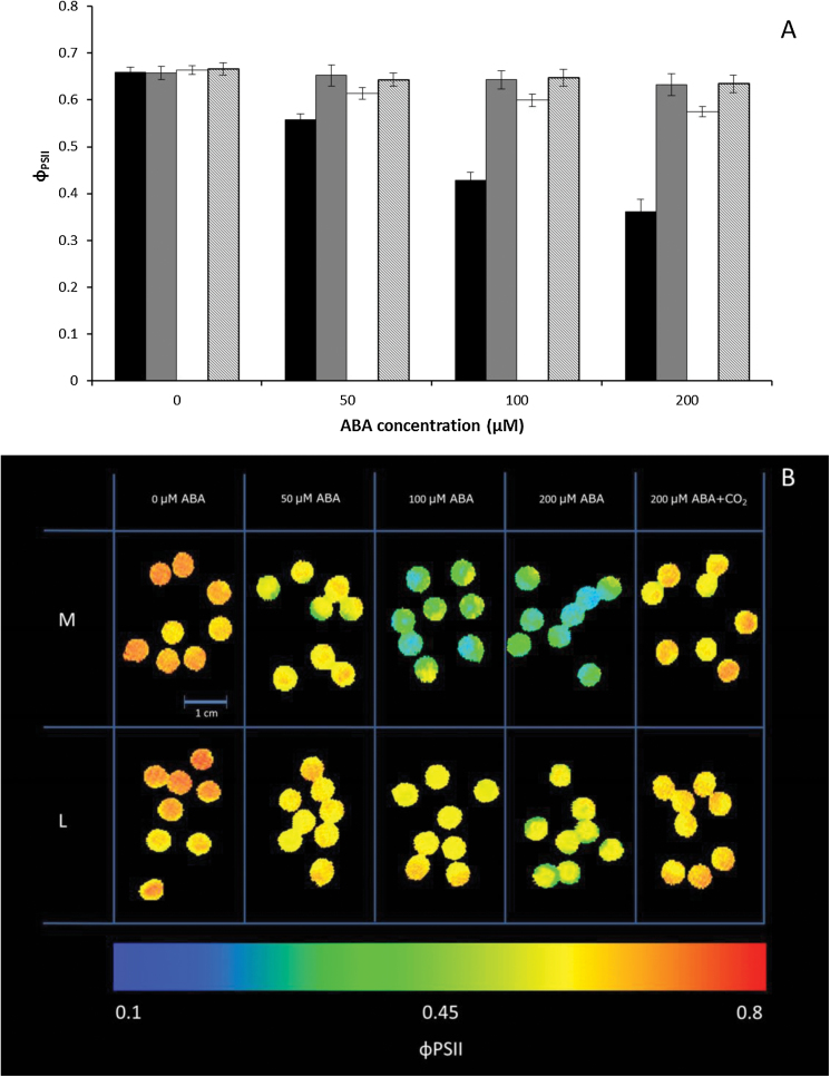 Fig. 3.