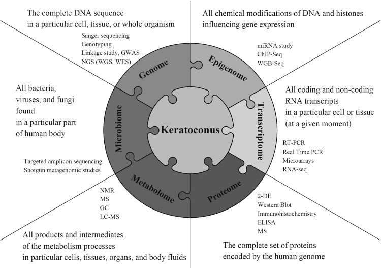 Fig. 2