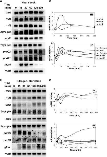 FIG. 7.