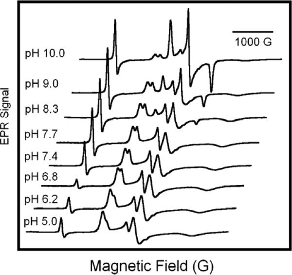 Figure 8