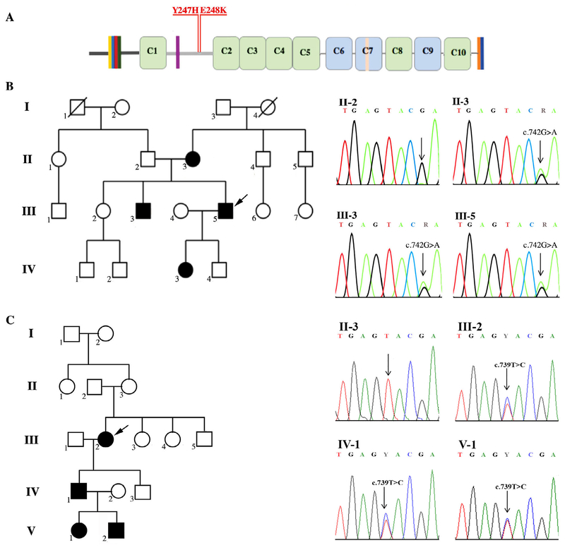 FIGURE 1: