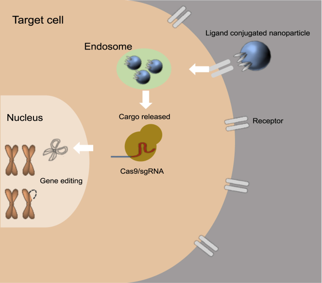 Figure 1