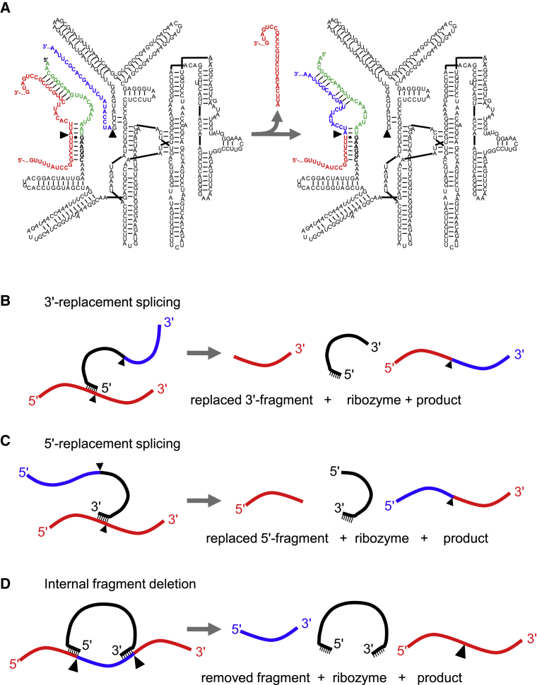 Figure 2