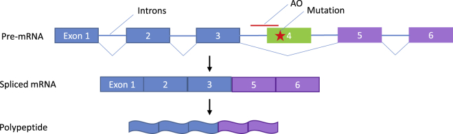 Figure 3