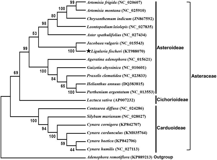 Figure 1.