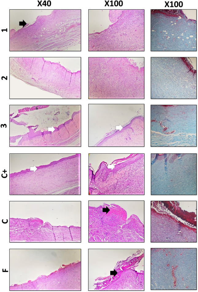 Fig. 6