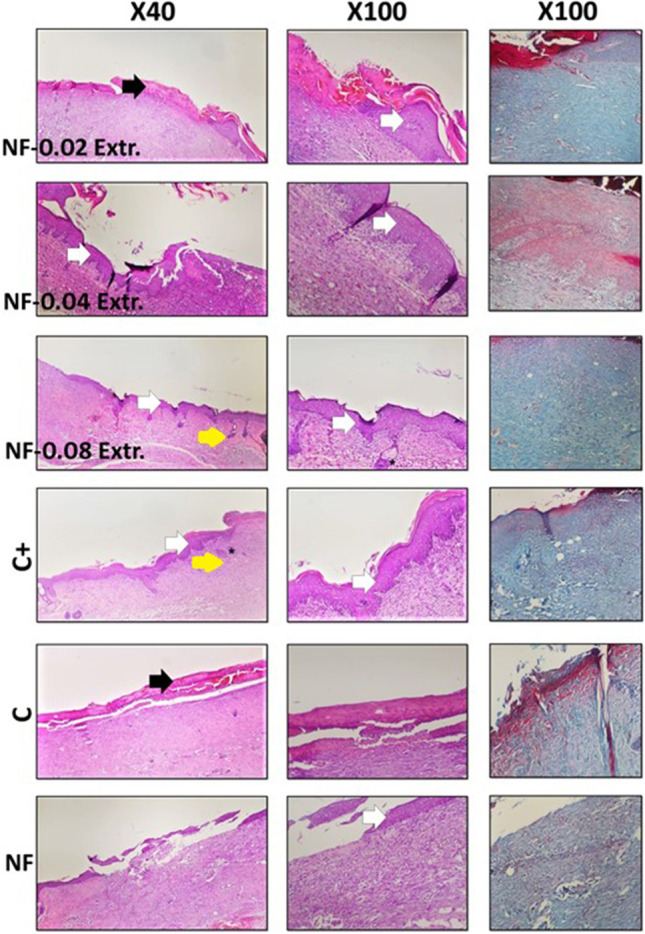 Fig. 7