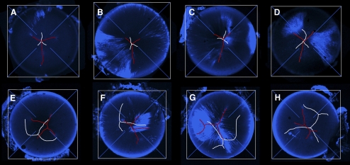 Figure 6.