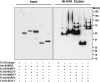 Fig 9