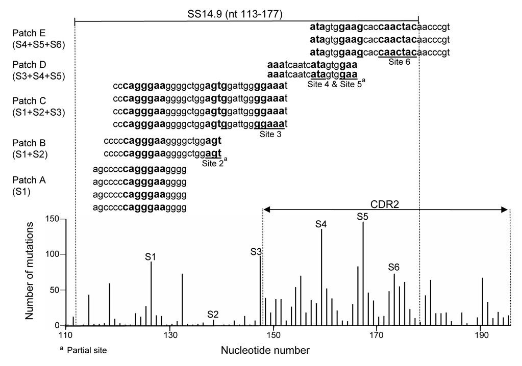 Fig. 4