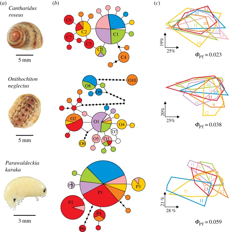 Figure 2.