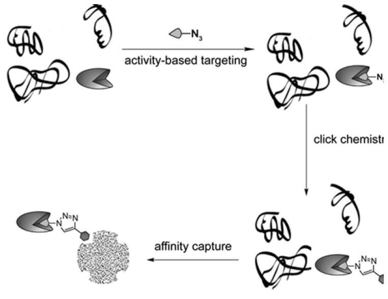 Fig. 11