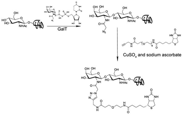 Fig. 9